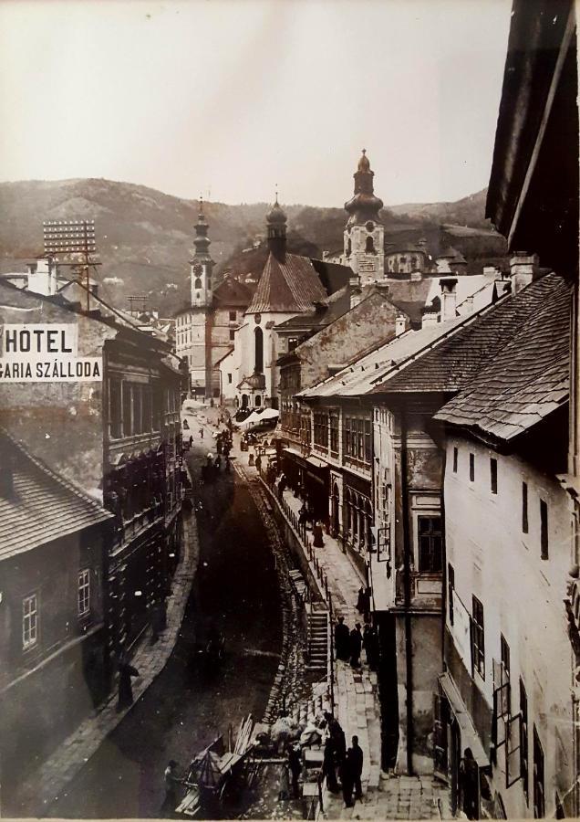 Penzion Rozalia Banska Stiavnica Exterior photo