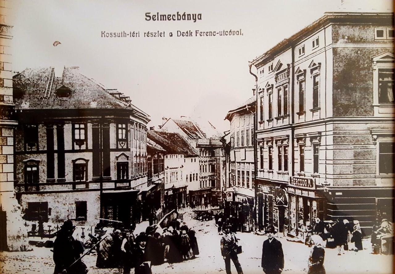 Penzion Rozalia Banska Stiavnica Exterior photo