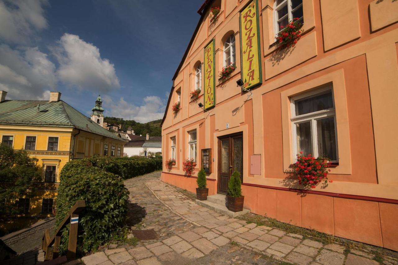 Penzion Rozalia Banska Stiavnica Exterior photo